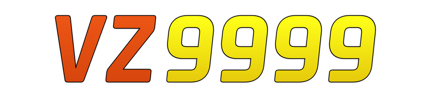 vz9999